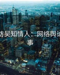 麻豆专访吴知情人：网络舆论幕后故事