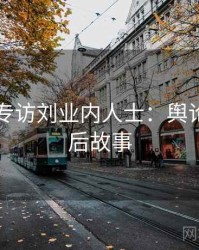 91官网专访刘业内人士：舆论漩涡幕后故事