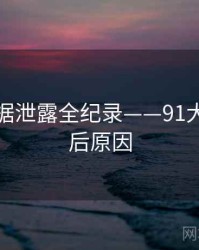 全景数据泄露全纪录——91大事件背后原因