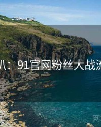 独家深扒：91官网粉丝大战流量密码