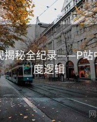 权威影视揭秘全纪录——P站中文版热度逻辑