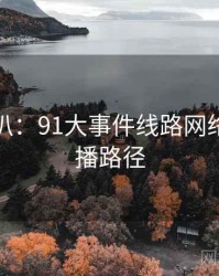 独家深扒：91大事件线路网络舆论传播路径