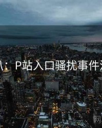 独家深扒：P站入口骚扰事件流量密码