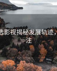探花精选影视揭秘发展轨迹，值得关注